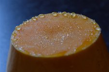 DSC_3112 - copie 2.jpg