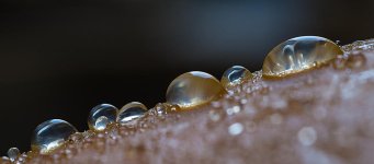 DSC_3123.jpg