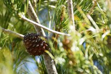 4-14-16-cr__D7K2873.jpg