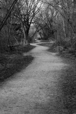 BWTrail-100.jpg