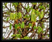 W_DSC_3127.jpg