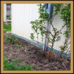 DSCN0342.jpg