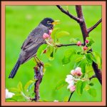 DSCN0388-Edit.jpg