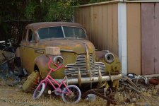 wk14-abandoned-cr_DSC_3450.jpg