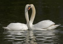 DSC_9313.jpg