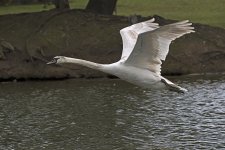 DSC_9287.jpg