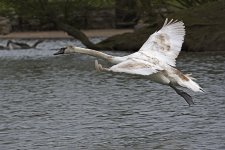 DSC_9291.jpg
