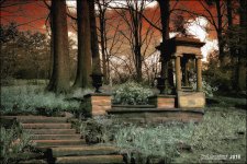 4-12-16 Lakeview IR    9.jpg