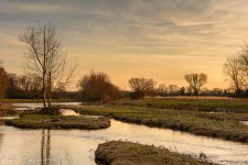 20160307-_D716222-Edit.jpg