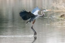 GBH Set-100.jpg