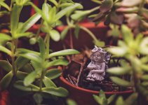 14 April 2016 - Fairy in the Garden.jpg