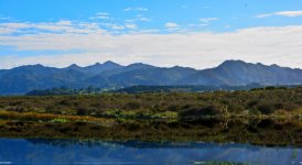 DSC_2292.jpg