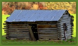 Old Cabin 4-16-2016.jpg