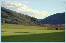 Lost Creek Meadow 4-16-2016.jpg