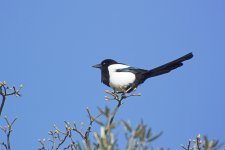 DSC_6644.jpg