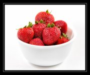 DSC_4151V2.jpg