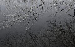 DSC_3156.jpg