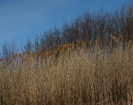 DSC_3165.jpg