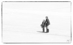 _D728404.jpg
