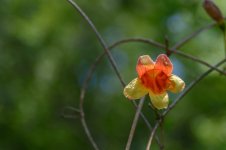 Mary's Shots-8000.jpg