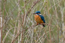 DSC_8673.jpg