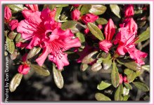 Moms Garden-5218-Edit.jpg