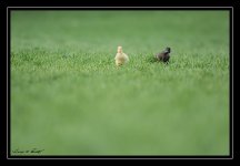 W_DSC_3527.jpg