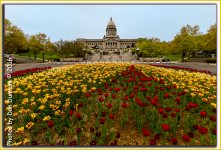 Capital Flowers-5270-Edit.jpg