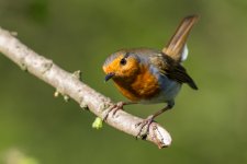 DSC_8838.jpg