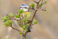 DSC_1672.jpg