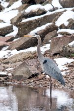 GBH Set-105.jpg