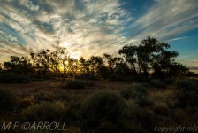 watermarked-0016.jpg