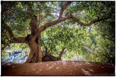 _DSF3071-2-Edit-Edit.jpg