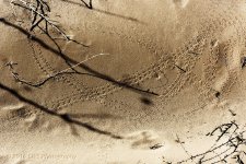 crossroads-cr_4-19-16__D7K2959.jpg