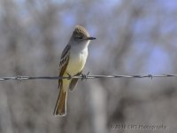 4-19-16-cr__D7K2979.jpg