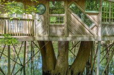 Mary's Shots-7957.jpg