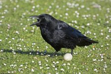 DSC_6914.jpg