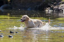 April 20, 2016-0007-Edit.jpg