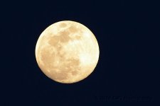 4-20-16-cr__D7K3044.jpg