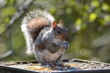 April 17, 2016-0096-Edit.jpg