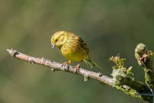 DSC_8982.jpg