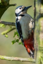 DSC_8935.jpg