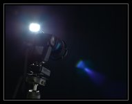 W_DSC_4203.jpg
