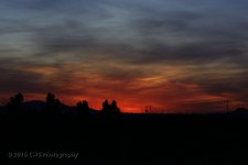 4-21-16-cr__D7K3079.jpg