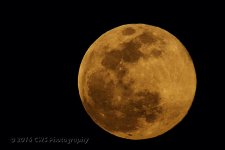 4-21-16-cr__D7K3081.jpg