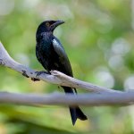 DSC_6542.jpg