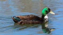 April 20, 2016-0039-Edit.jpg
