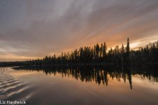 DSC_9113.jpg
