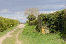 DSC_2561.jpg