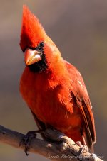 DSC_8336.jpg